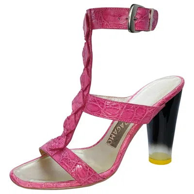 Pre-owned Ferragamo New Salvatore  Exotic Crocodile Skin Artsy High Heel Sandals 8 Us In Pink
