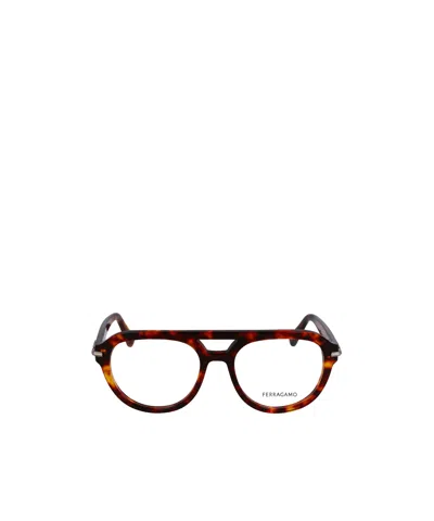 Ferragamo Optical Glasses In Brown