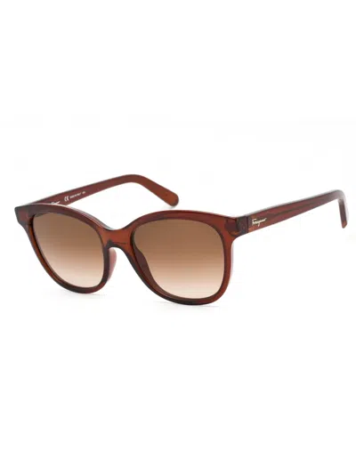 Ferragamo Oval Designer Sunglasses For Women In Brown
