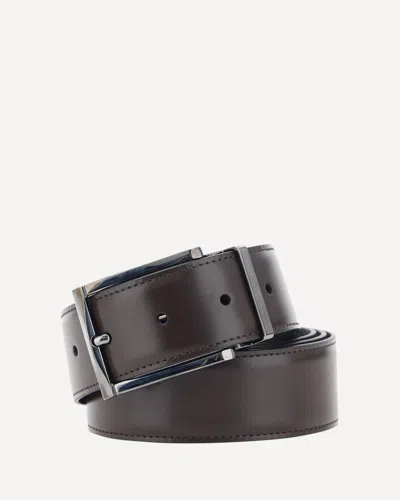 Ferragamo Paloma Belt In Brown