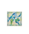 Ferragamo Parrot Printed Scarf In Nude