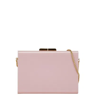 Pre-owned Ferragamo Pink Plastic Shoulder Bag () In Multi