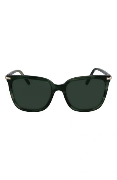 Ferragamo Prisma 56mm Modified Butterfly Sunglasses In Striped Green