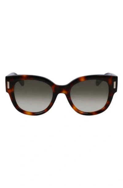FERRAGAMO FERRAGAMO RIVETS TEA CUP 51MM BUTTERFLY SUNGLASSES