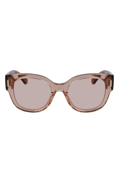 Ferragamo Rivets Tea Cup 51mm Butterfly Sunglasses In Transparent Beige