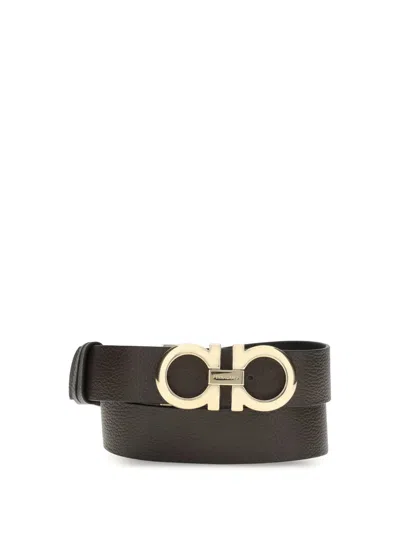 Ferragamo Salvatore  Belts E Braces In Brown