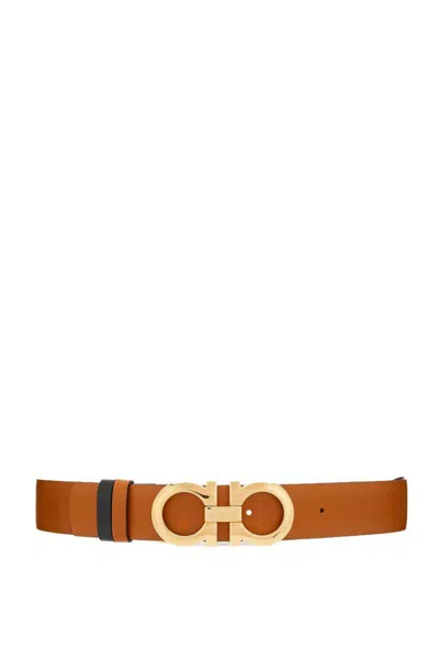 Ferragamo Salvatore  Belts In Saddle/black