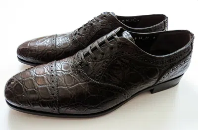 Pre-owned Ferragamo Salvatore  Brown Crocodile Alligator Leather Shoes 13 Us 47 Euro 12 Uk