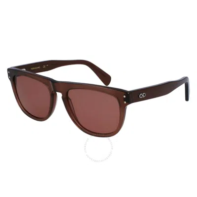 Ferragamo Men's Gancini Tea Cup Acetate Rectangle Sunglasses In Transparent Brown