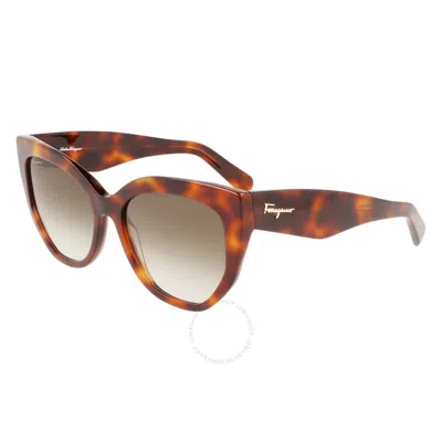 Ferragamo Salvatore  Brown Gradient Cat Eye Ladies Sunglasses Sf1061s 240 56