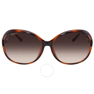 Ferragamo Salvatore  Brown Gradient Oval Sunglasses Sf770sa 214 61