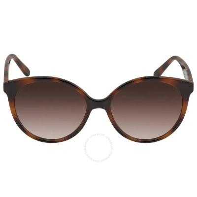 Ferragamo Salvatore  Brown Gradient Round Ladies Sunglasses Sf1071s 240 58 In Brown / Tortoise
