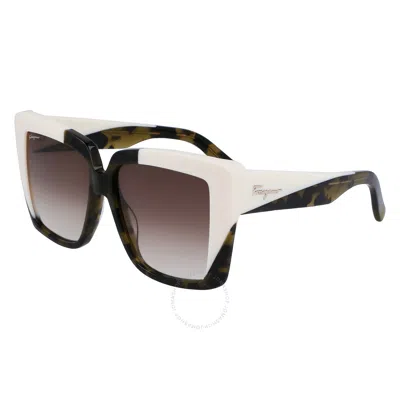 Ferragamo Salvatore  Brown Gradient Sport Ladies Sunglasses Sf1060s 341 55 In Black