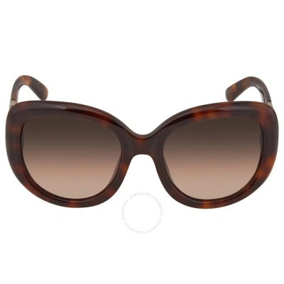 Ferragamo Salvatore  Brown Oval Ladies Sunglasses Sf727s 214 53 In Brown / Tortoise