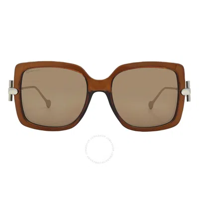 Ferragamo Salvatore  Brown Square Ladies Sunglasses Sf913s 210 55