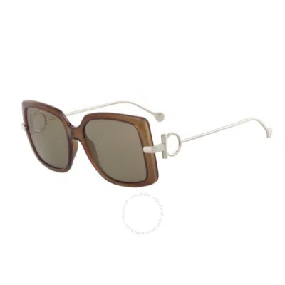 Ferragamo Salvatore  Brown Square Ladies Sunglasses Sf913s 210 55