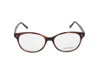 Ferragamo Salvatore  Eyeglasses In Tortoise/black