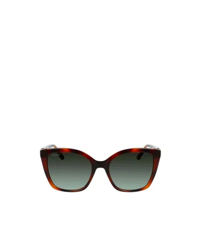 Ferragamo Salvatore  Eyewear Butterfly Frame Sunglasses In Black