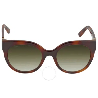 Ferragamo Salvatore  Green Cat Eye Ladies Sunglasses Sf1031s 214 53 In Green / Tortoise