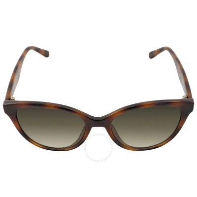 Ferragamo Salvatore  Grey Gradient Butterfly Ladies Sunglasses Sf1073s 240 54 In Grey / Tortoise