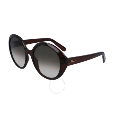 Ferragamo Salvatore  Grey Gradient Oval Ladies Sunglasses Sf1067s 210 57 In Brown / Grey