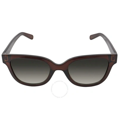 Ferragamo Salvatore  Grey Gradient Square Ladies Sunglasses Sf1066s 210 52 In Brown / Grey