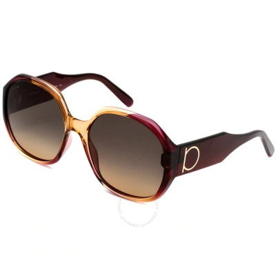 Ferragamo Salvatore  Ladies Red Oval Sunglasses Sf943s In Brown