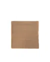 Ferragamo Salvatore  Logo Embroidered Shawl In Brown