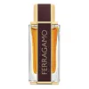 Ferragamo Salvatore  Men's Spicy Leather Edp Spray 3.4 oz Fragrances 8052464890965