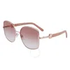 Ferragamo Salvatore  Rose Gradient Butterfly Ladies Sunglasses Sf304s 772 58