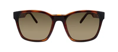 Ferragamo Salvatore  Sf 959s 214 Square Sunglasses In Multi