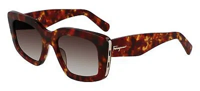 Pre-owned Ferragamo Salvatore  Sf1024s Red Havana/brown Burgundy 52/19/145 Women Sunglasses