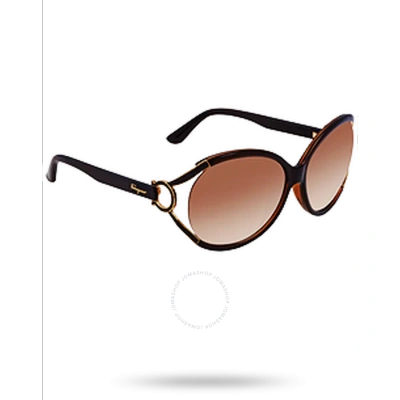 Ferragamo Salvatore  Sf600s Brown Gradient Round Ladies Sunglasses Sf600s 220 61 In Brown / Dark