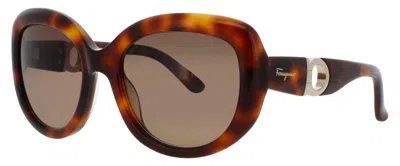 Ferragamo Salvatore  Sf727s Sunglasses 53-20-135 With Case In 214 - Tortoise / Brown