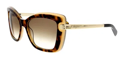 Pre-owned Ferragamo Salvatore  Sf814s Havana & Amber Sunglasses With Brown Lenses In Havana Amber