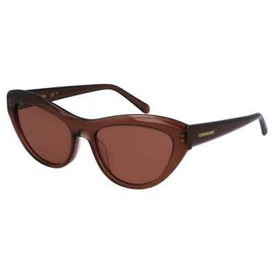 Ferragamo Sleek Logo Acetate Cat-eye Sunglasses In Brown