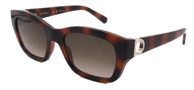 Ferragamo Salvatore  Sunglasses Sf1012s-214-53-19-140 Non-polarized