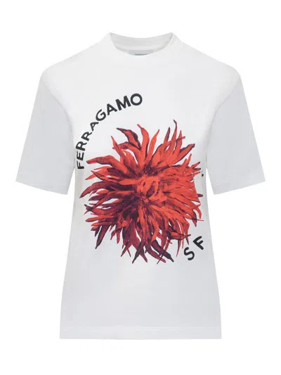 FERRAGAMO SALVATORE FERRAGAMO T-SHIRT