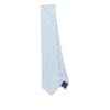 Ferragamo Tie In Blue