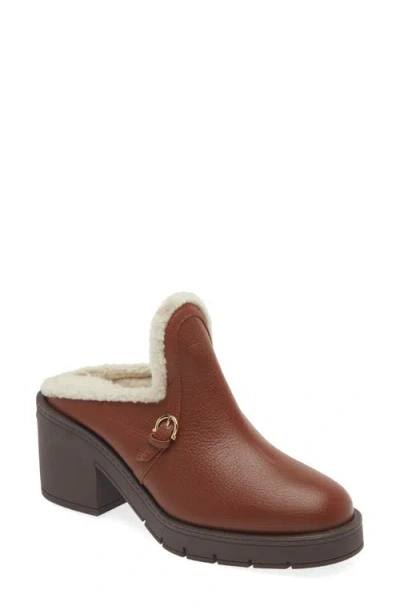 Ferragamo Saura Genuine Shearling Lined Mule In Cappuccino Naturale Biscotto