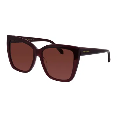 Ferragamo Sf 1102s 606 58mm Womens Cat Eye Sunglasses In Brown