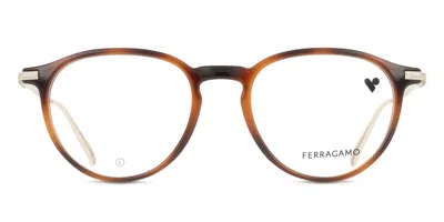 Ferragamo Sf 2976 Men's Glasses, Tortoiseshell, Size 51 In Brown