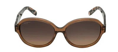 Ferragamo Sf 885sa 210 Oval Sunglasses In Brown