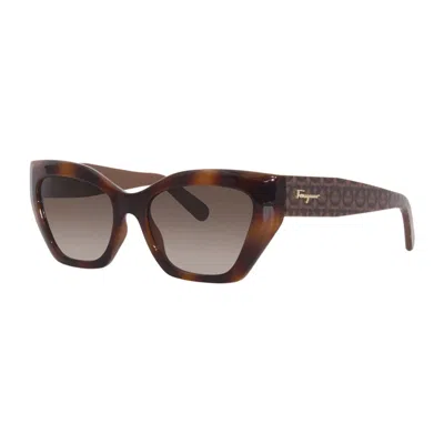 Ferragamo Sf1043s 238 Classic Havana/brown Gradient In Multi