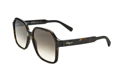 Ferragamo Sf1069s 242 Tortoise/grey Gradient In Black