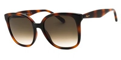 Ferragamo Sf1072s 240 Women's Sunglasses Tortoiseshell Size 56 In Brown