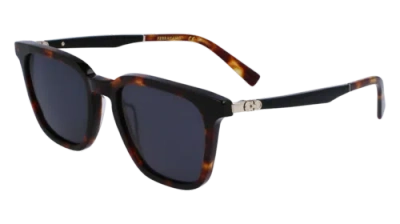 Pre-owned Ferragamo Sf1100s 242 Tortoise 52/19/145 Male Sunglasses