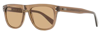 Ferragamo Sf1111scp Soft Square Acetate Sunglasses In Brown