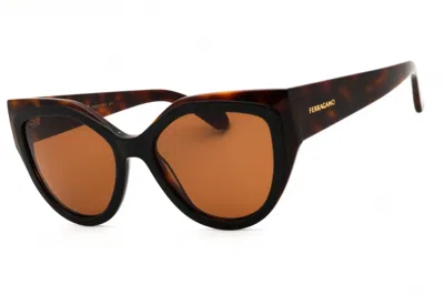 Ferragamo Sf2004s 241 Tortoise/black/brown