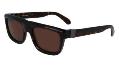 Pre-owned Ferragamo Sf2009s 242 Dark Tortoise 56/21/145 Male Sunglasses In Brown